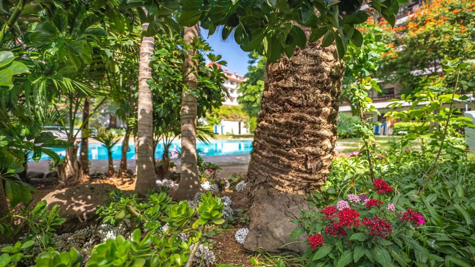 Coral Teide Mar Aparthotel Πουέρτο Ντε Λα Κρουζ